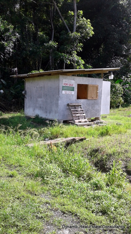 Grand Riviere Land for Sale