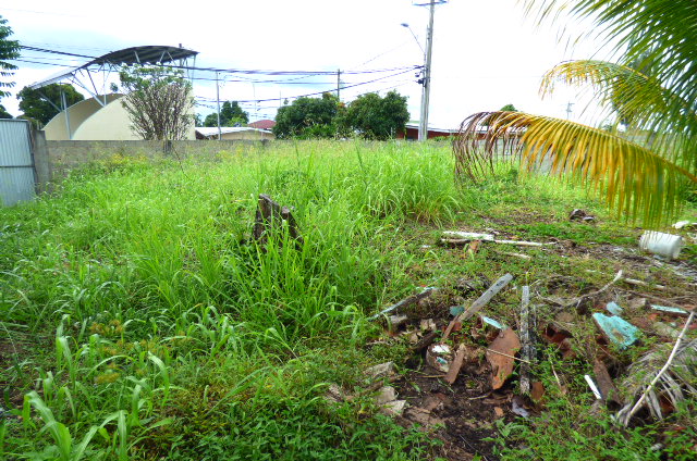 St. Augustine Flat Land