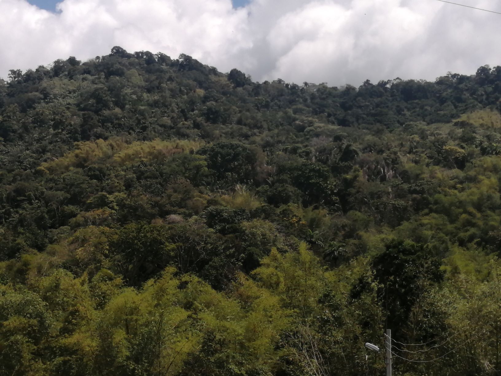 LAND for SALE  ARIMA : 55+ ACR..