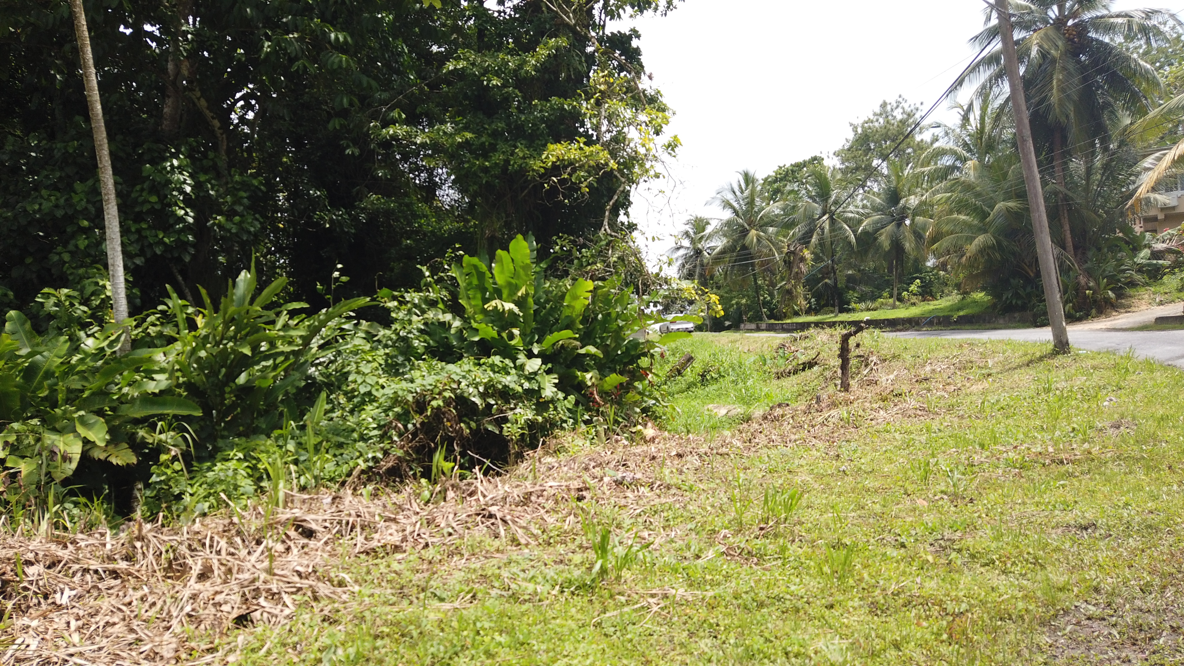 Cumuto - Residential Land