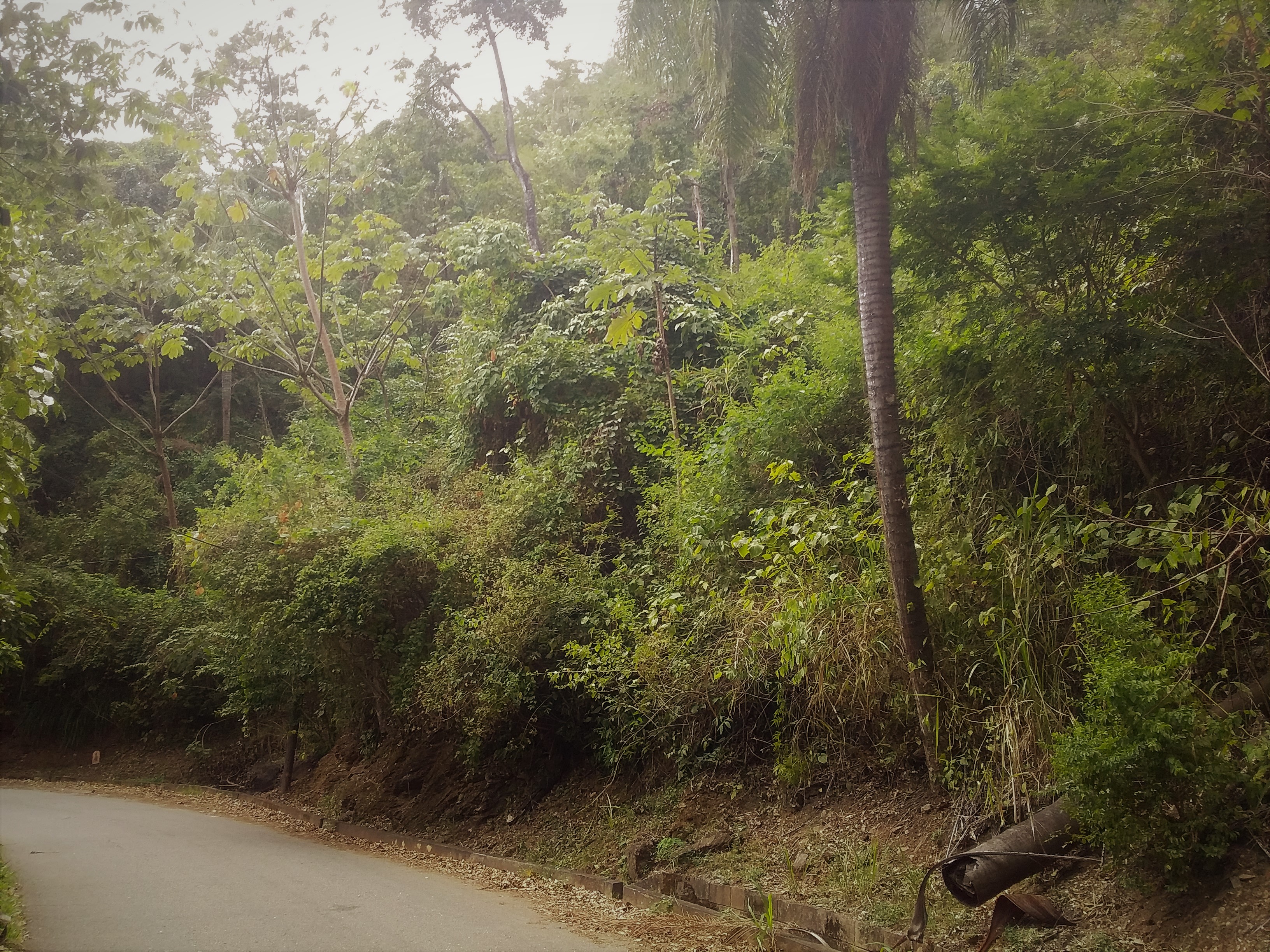 FOR SALE: Prime Residential La..