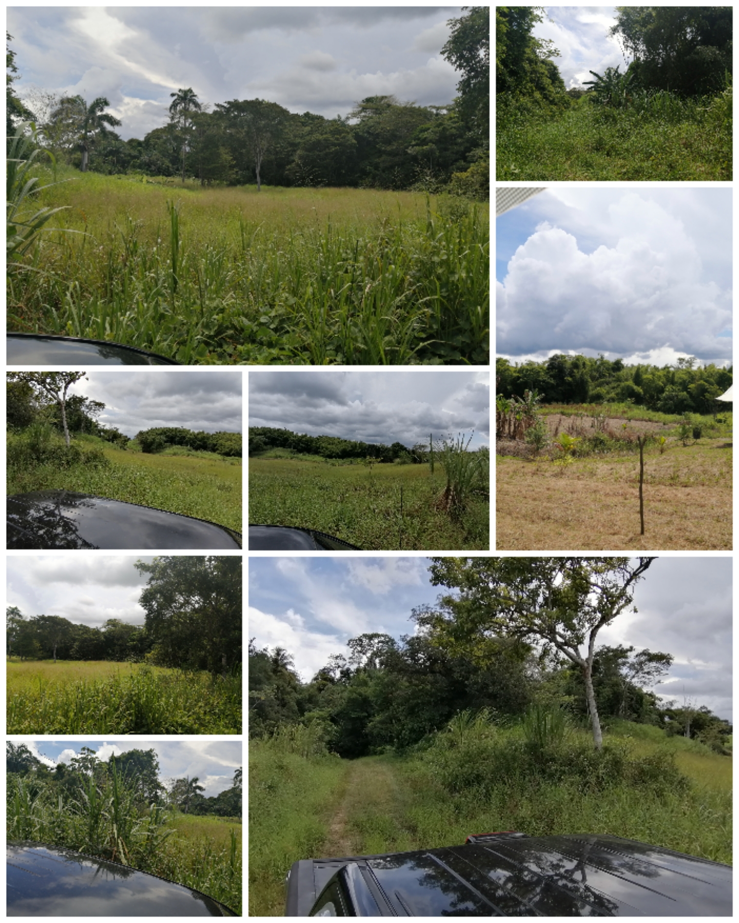 133 acres AGRICULTURE LAND AT ..