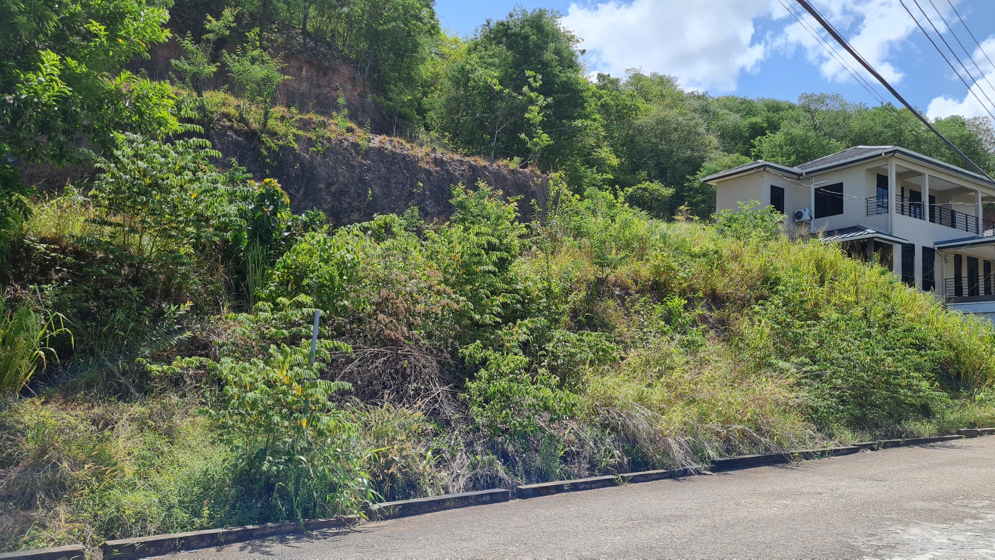 RESIDENTIAL LEASEHOLD LAND