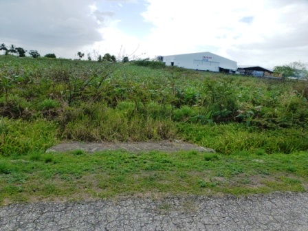 Aranguez South - 1/2 Acre