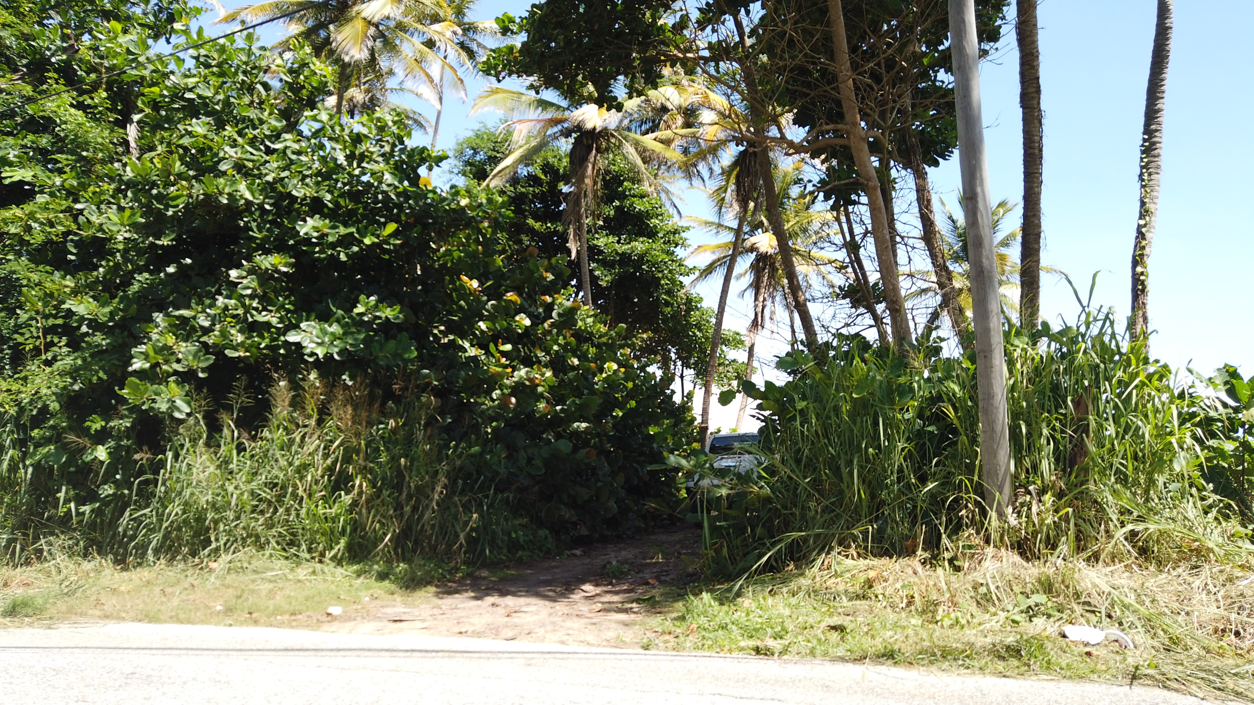 Manzanilla Beach Front