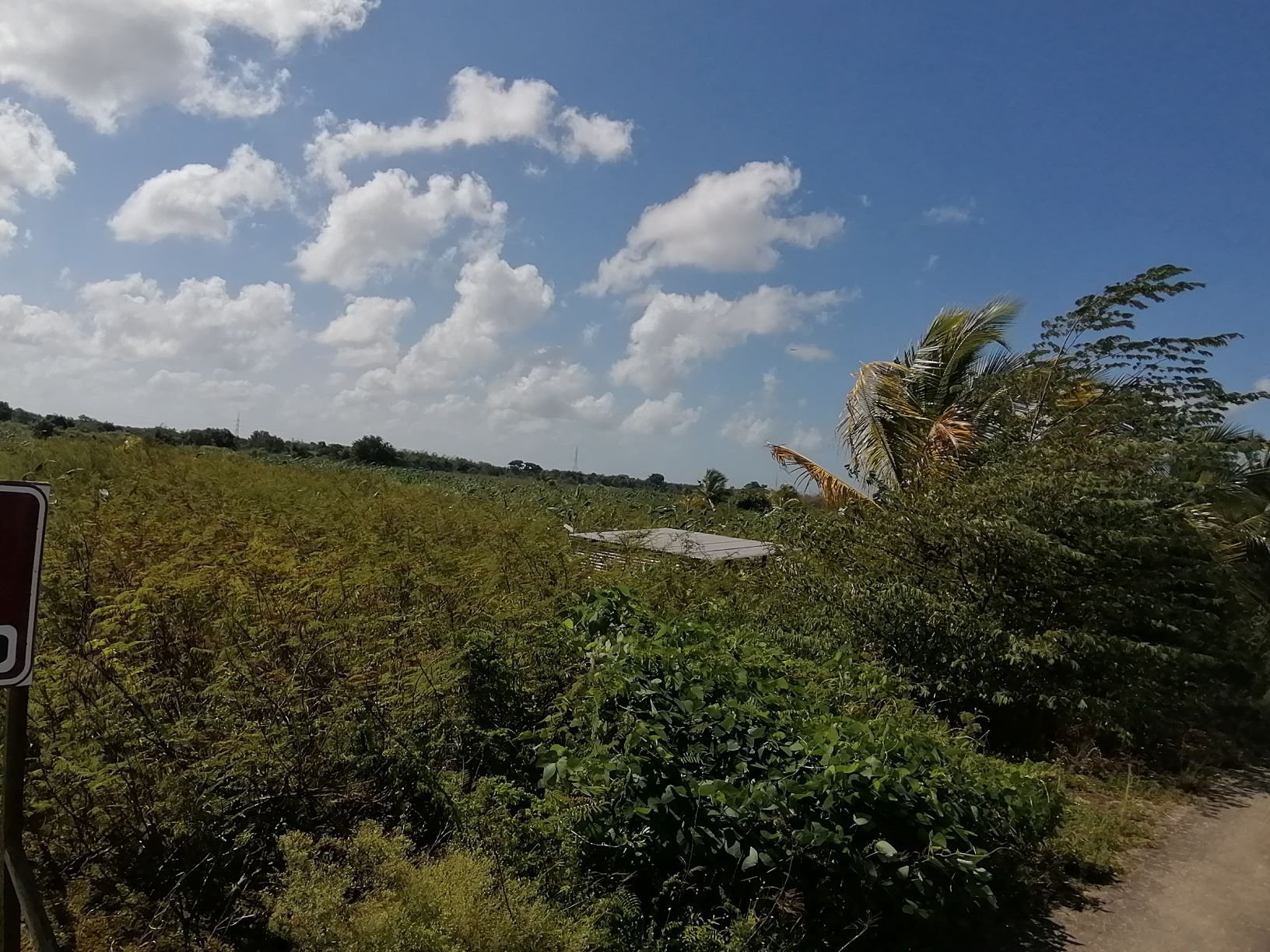 2.94 ACRES LAND IN ARANGUEZ SO..
