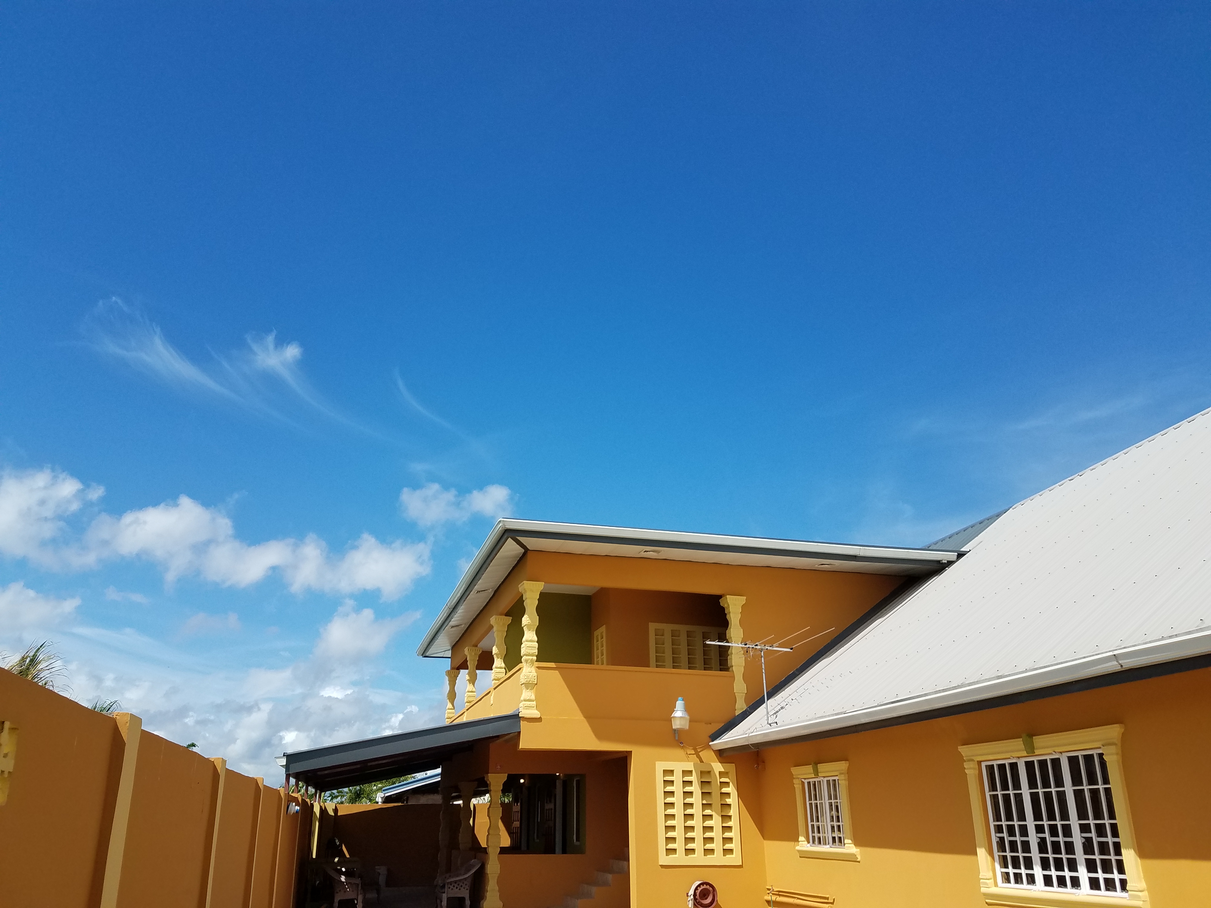 Salandra Drive Roystonia, Couv..