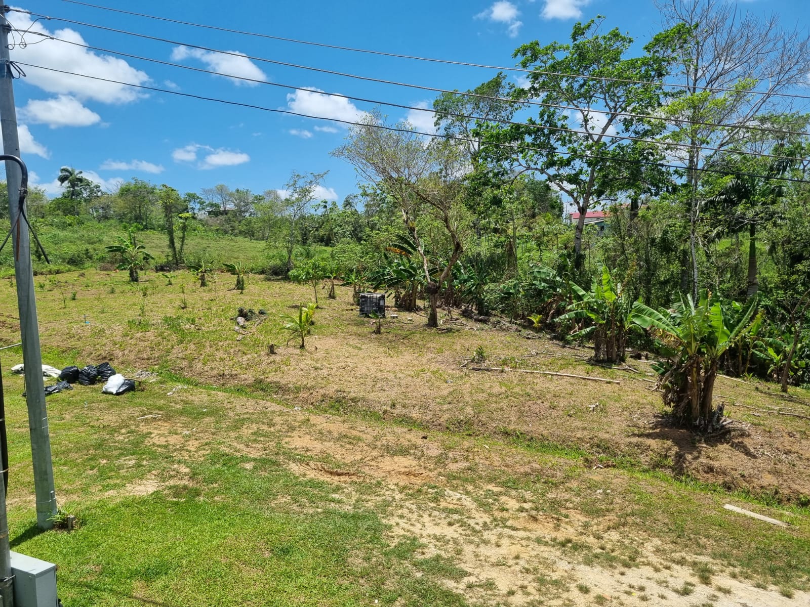 Land For Sale Tabaquite