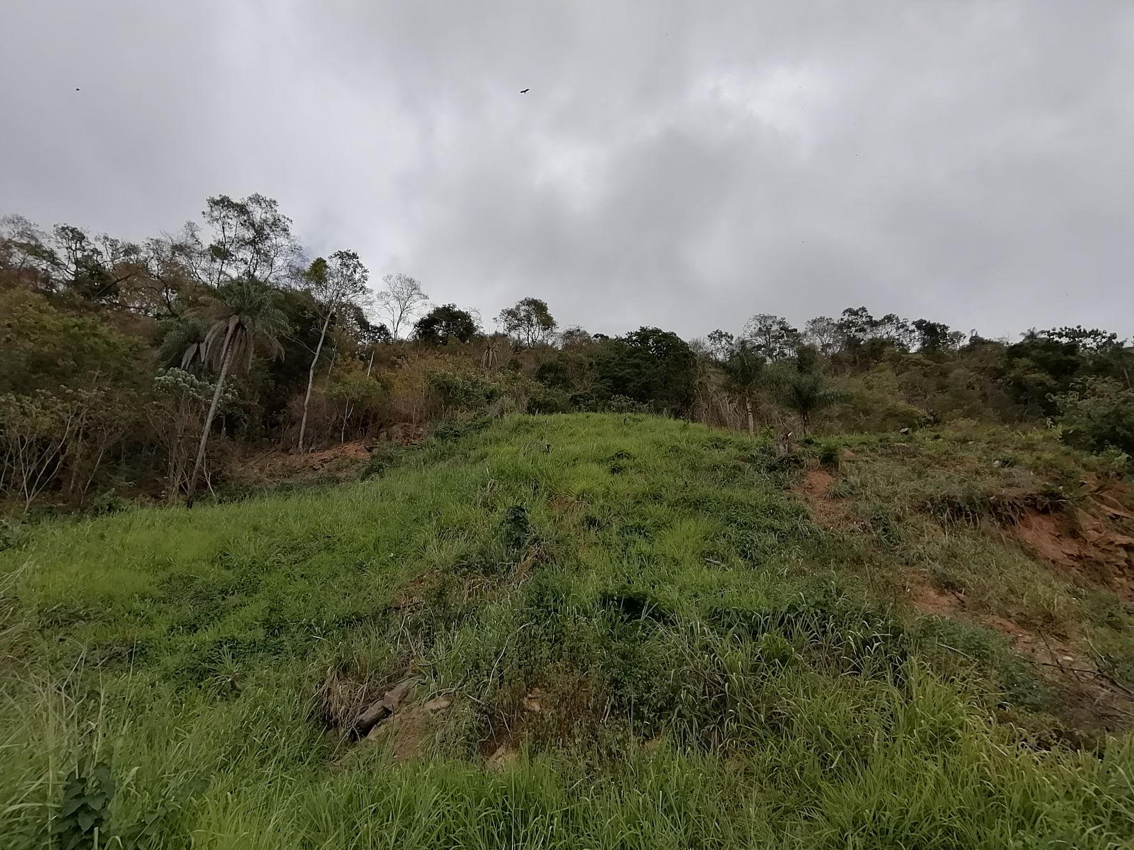 RES. LAND AT CHANCELLOR HILL