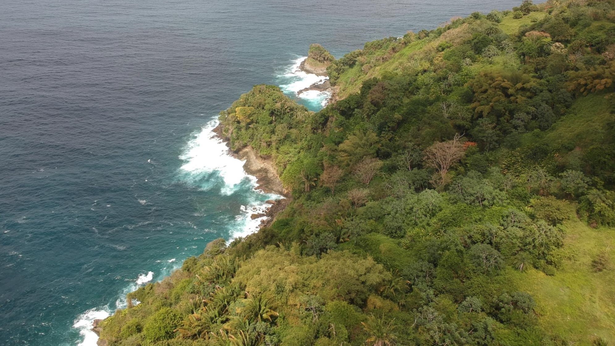 FOR SALE: TOBAGO, PARROT ESTAT..