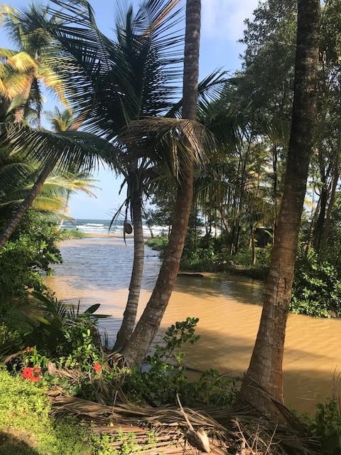 Mayaro Home for Sale