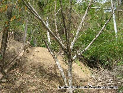 Nock Road Maraval Land for Sal..