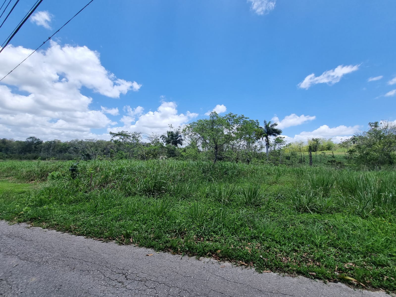 One Acre Approved Land Tabaqui..