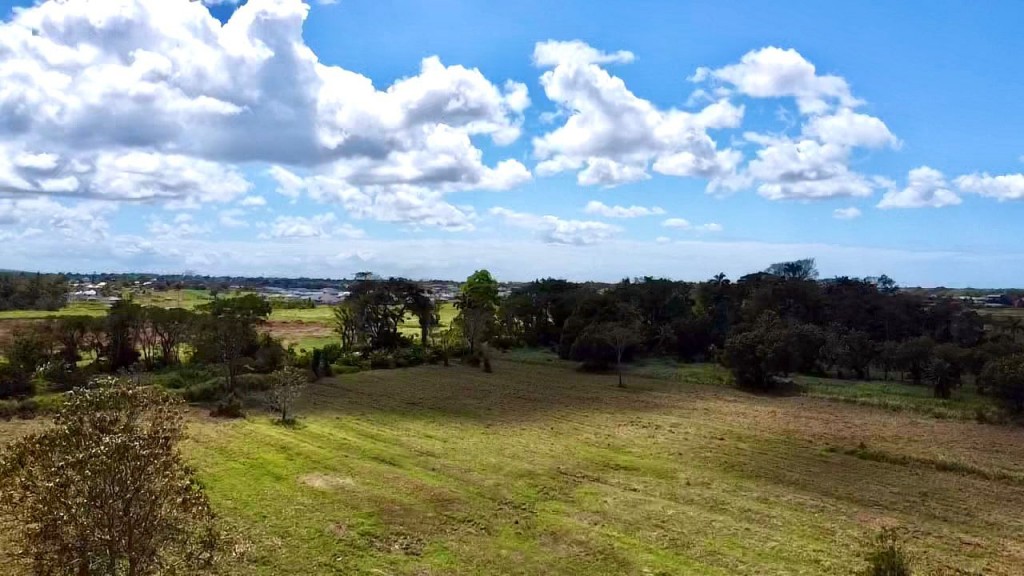 Santa Monica Trace, St. Helena..