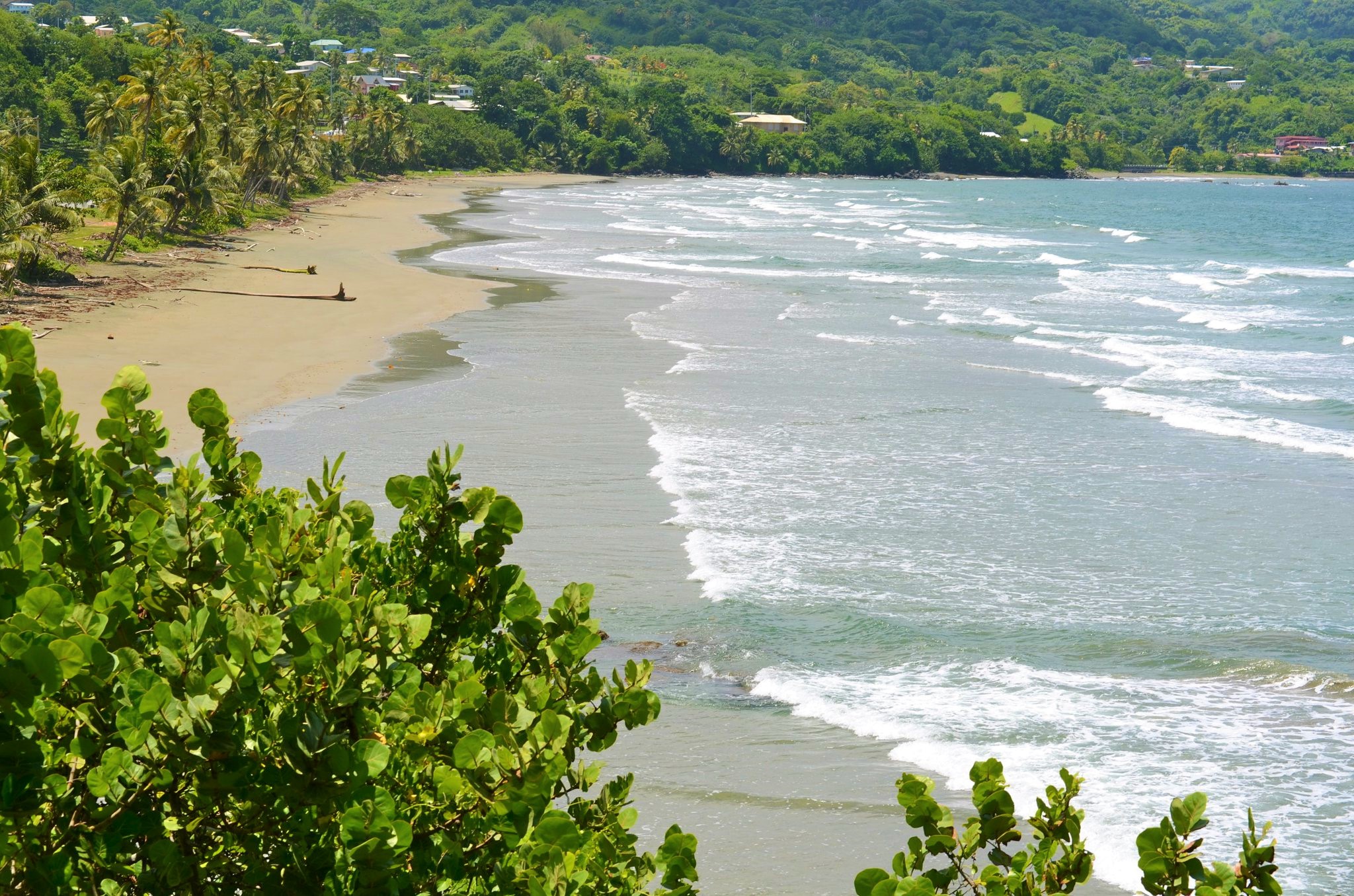 Ocean-View Land Parcels: Hope ..