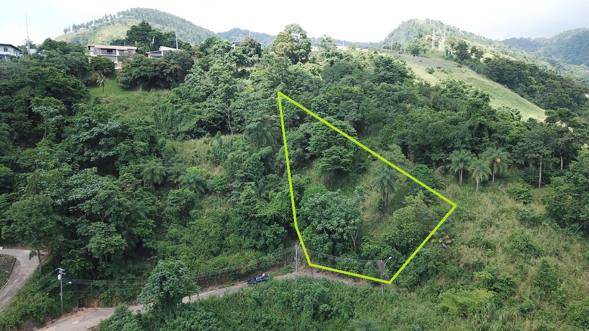 Cascade Panoramic view