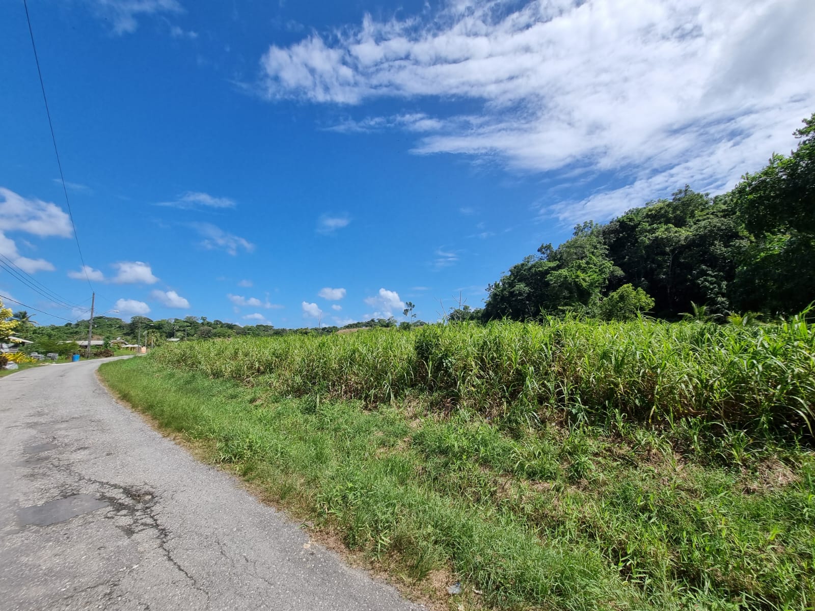 Moruga 10 acres for Sale