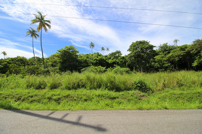 Cumana, Toco Land for Sale