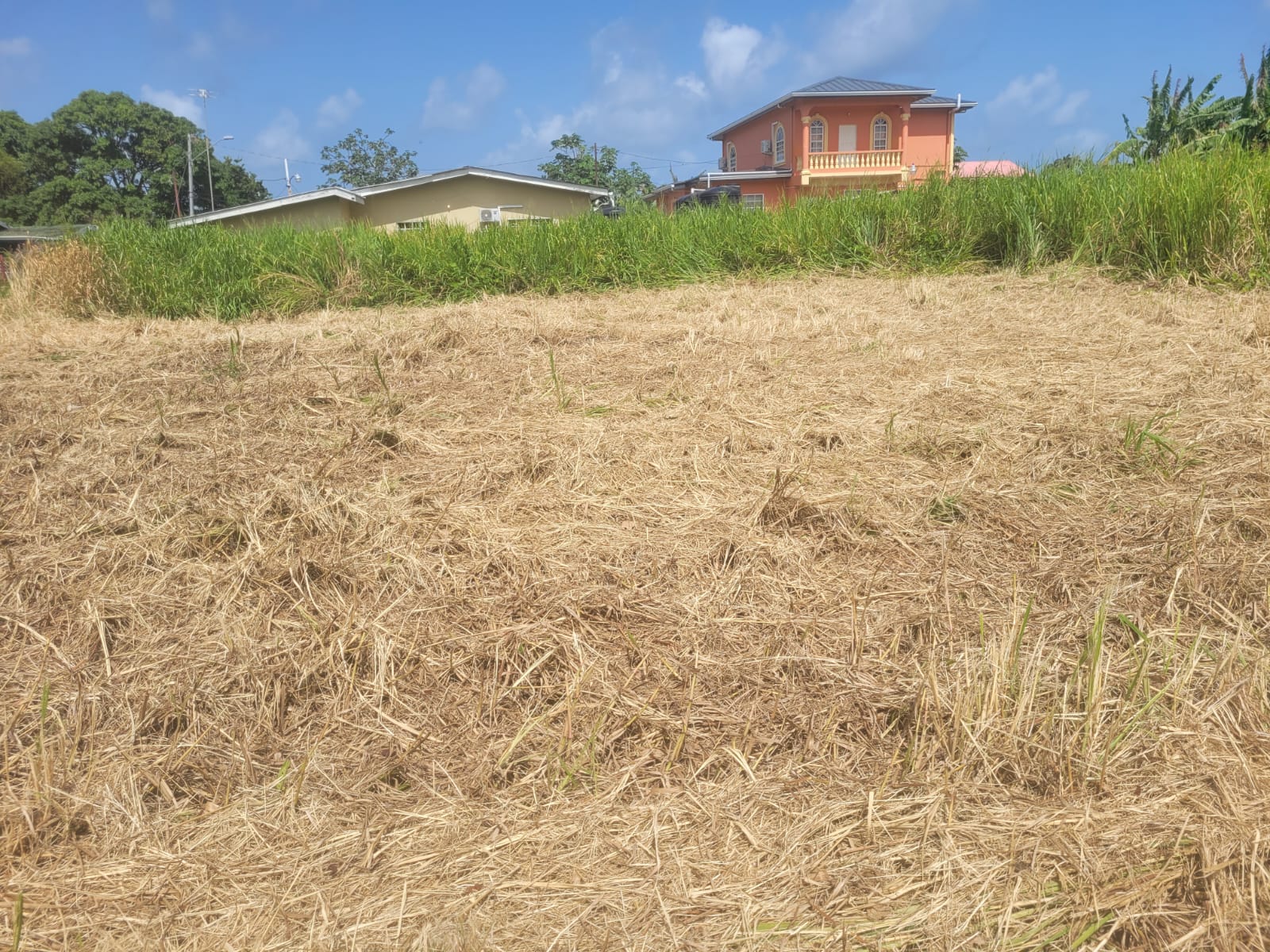 Mayaro Land, Off Church Road -..