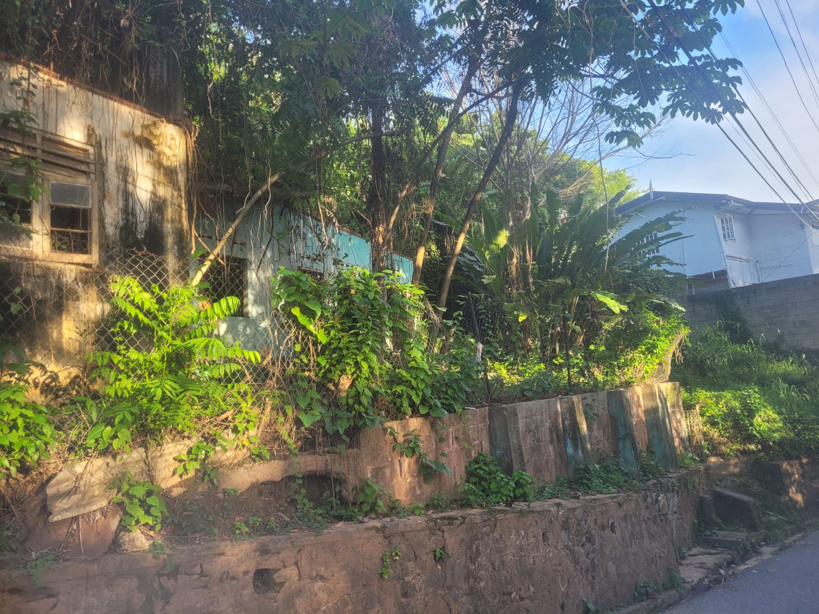 Freehold Land at Irving Street..