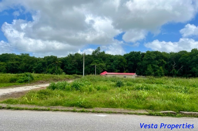 Land for Sale - Manzanilla