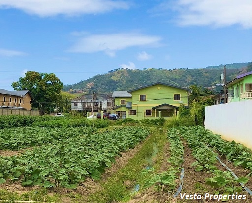 Land for Sale - Aranguez