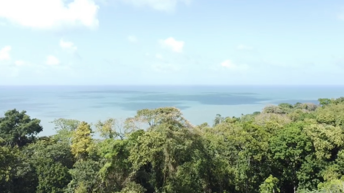 Land for Sale - Grand Riviere